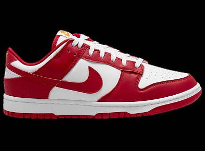 Women Dunk SB-193
