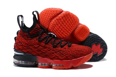 LeBron James-592